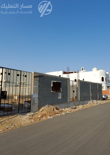 Photo by Daniel J. Schwarz